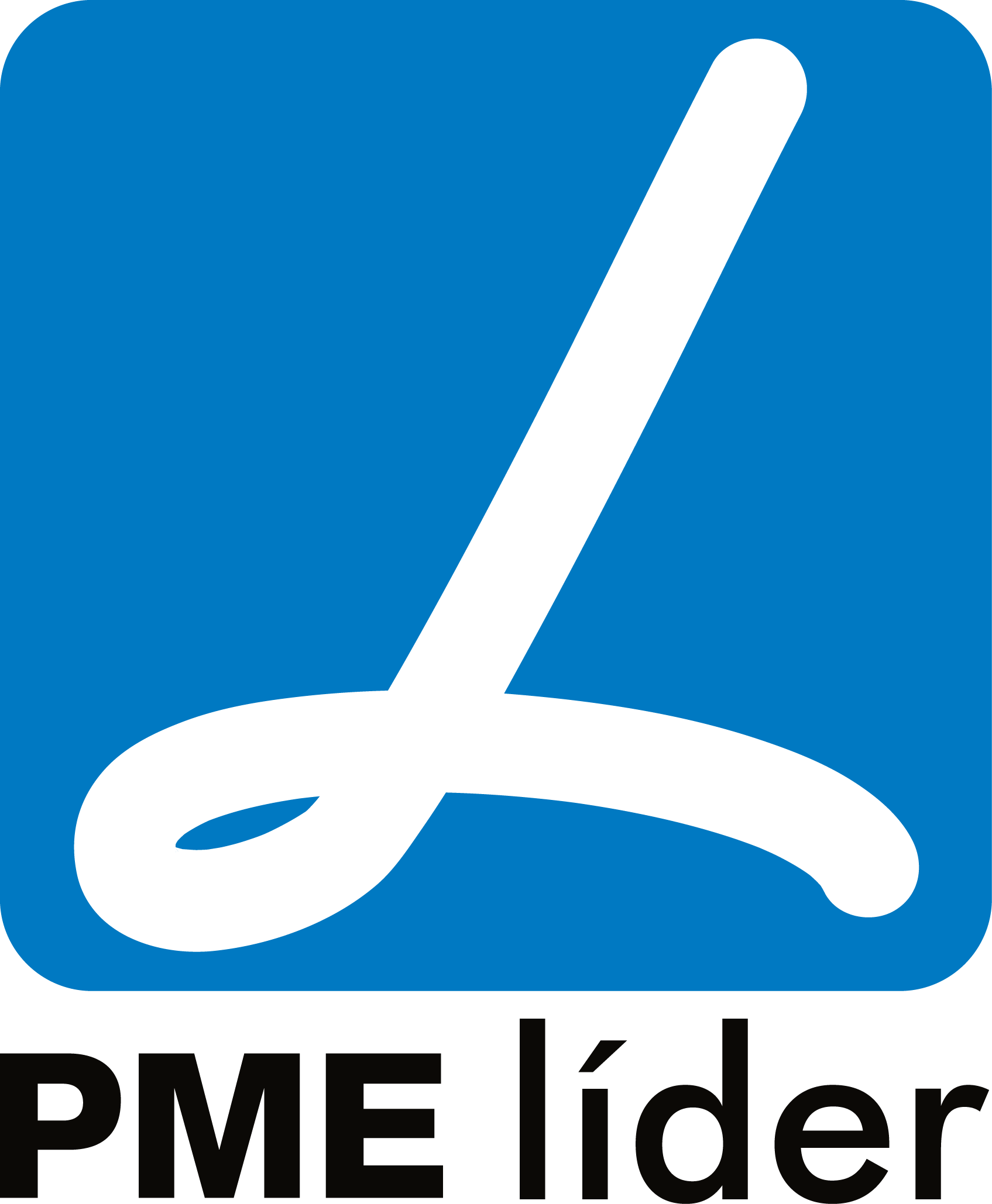 PME Líder Logo